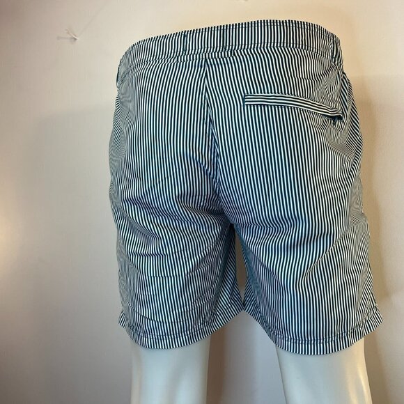 COLE Men's Teal Striped Brief Lined 6" Swim Trunks - Size Small - Picture 3 of 5